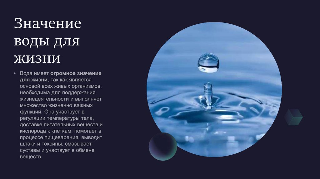 Значение воды для жизни