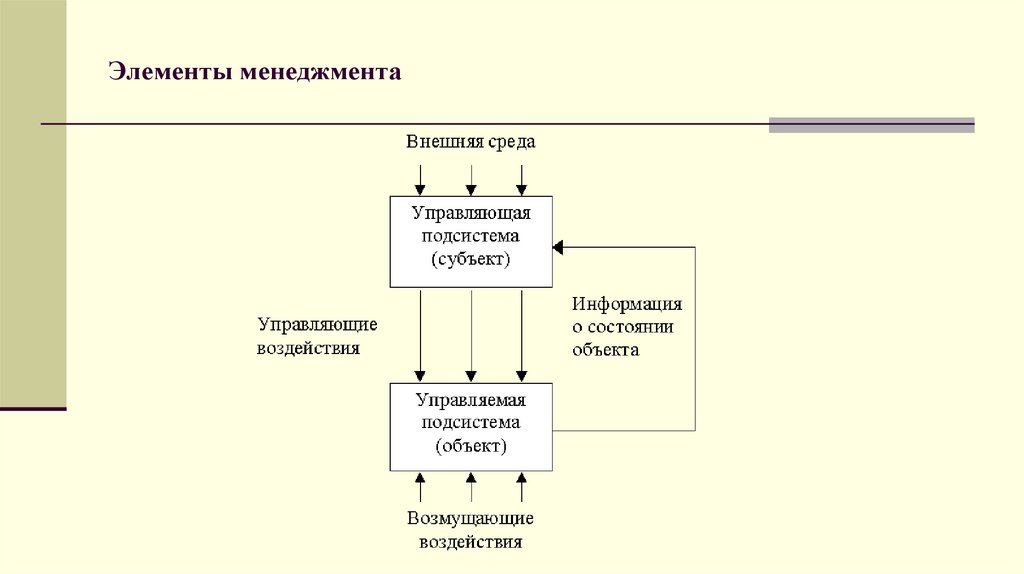 Элементы менеджмента