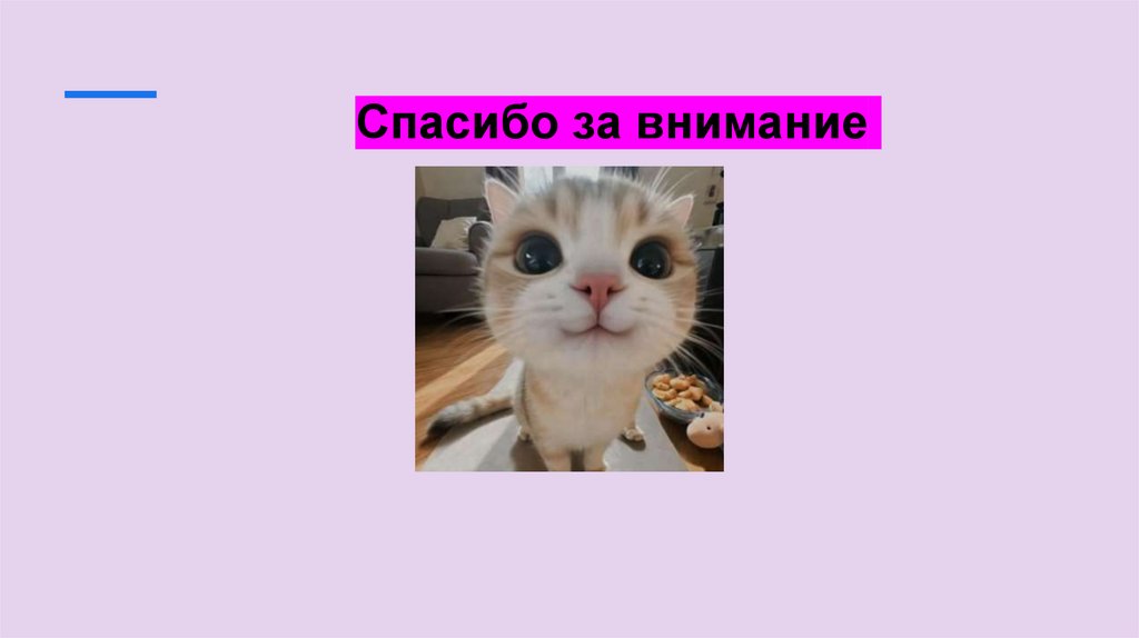 Спасибо за внимание