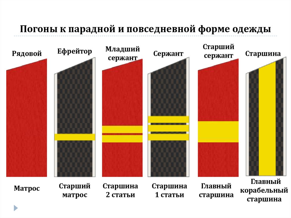 Погоны к парадной и повседневной форме одежды