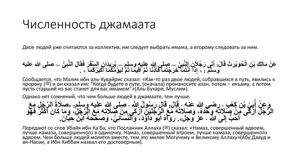 Численность джамаата
