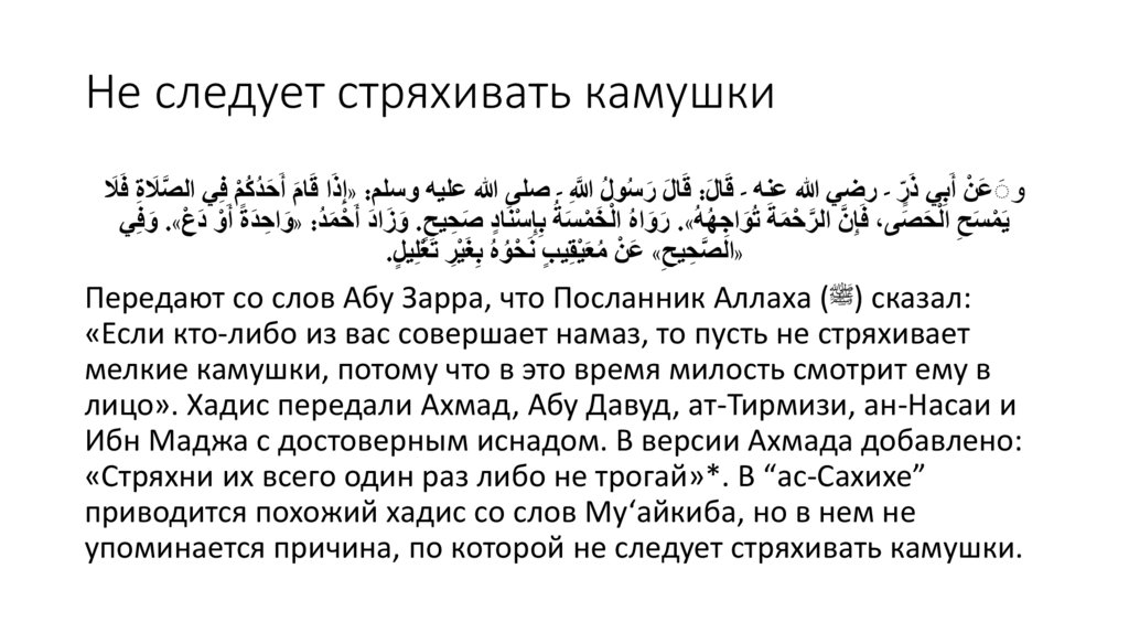 Не следует стряхивать камушки