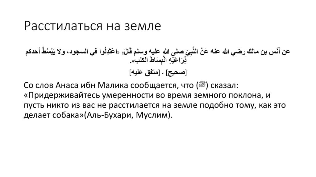 Расстилаться на земле