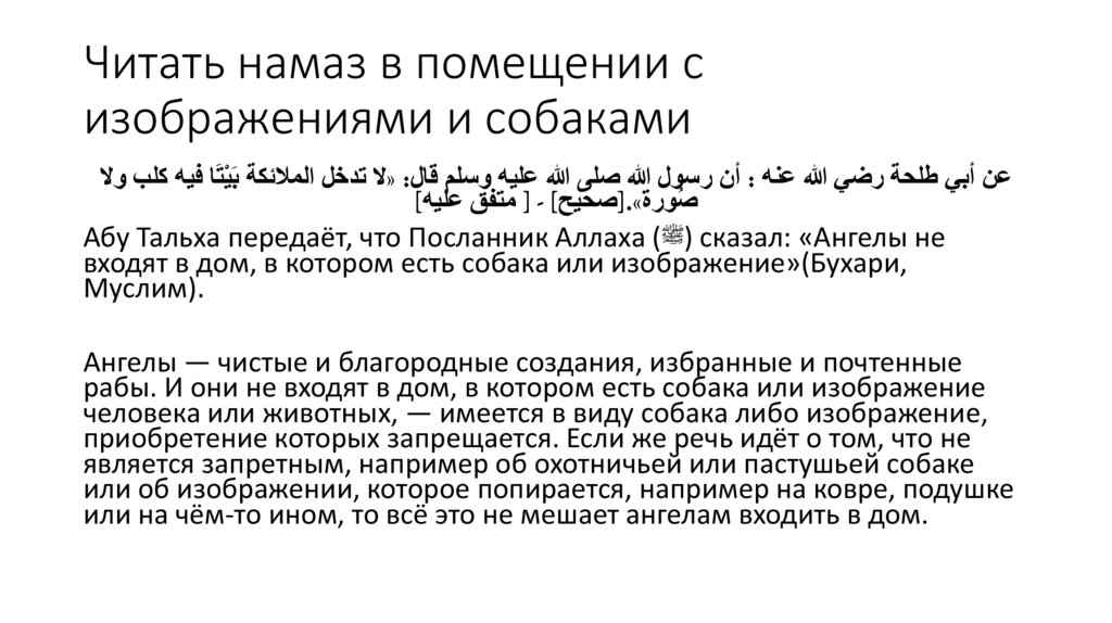 Читать намаз в помещении с изображениями и собаками