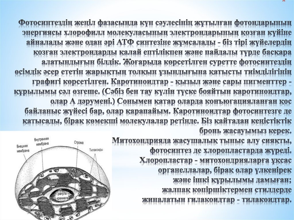 Фотосинтездің жеңіл фазасында күн сәулесінің жұтылған фотондарының энергиясы хлорофилл молекуласының электрондарының қозған