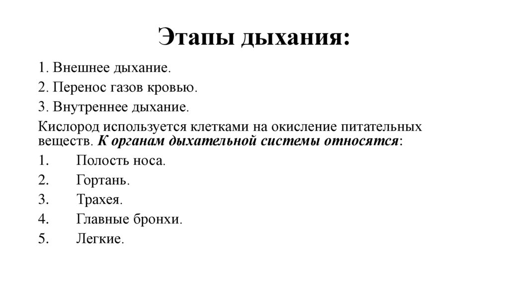 Этапы дыхания: