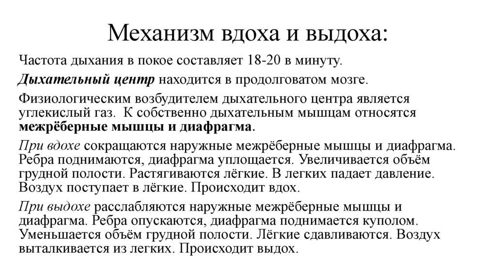 Механизм вдоха и выдоха: