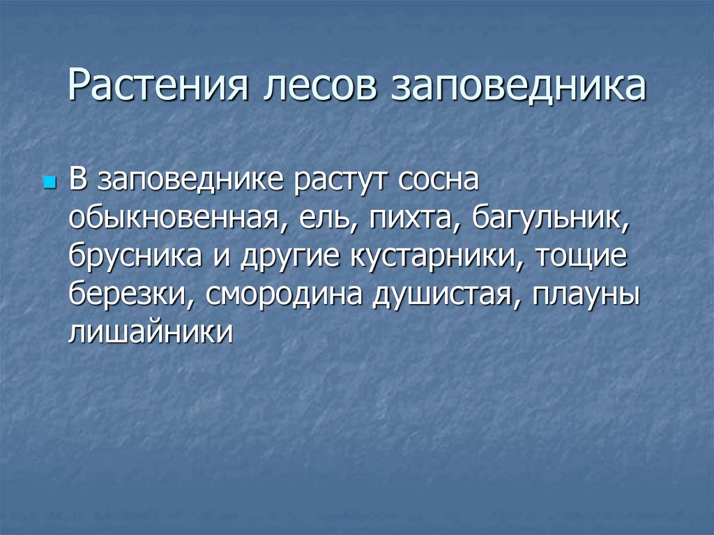 Растения лесов заповедника