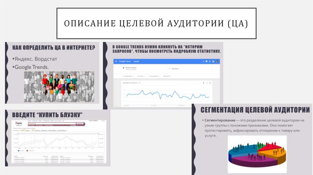 ОПИСАНИЕ ЦЕЛЕВОЙ АУДИТОРИИ (ЦА)