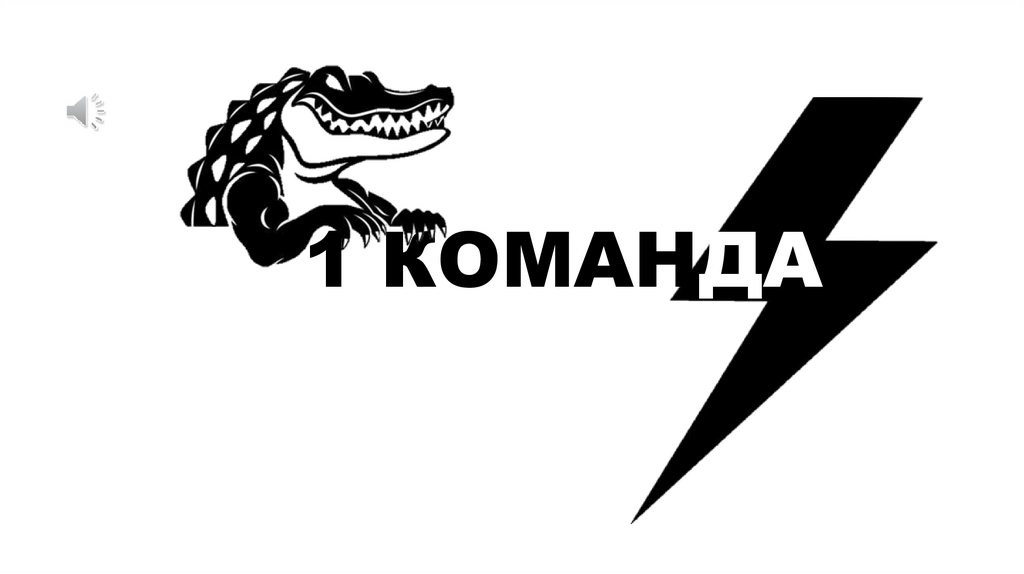 1 КОМАНДА