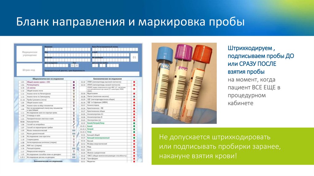 Бланк направления и маркировка пробы