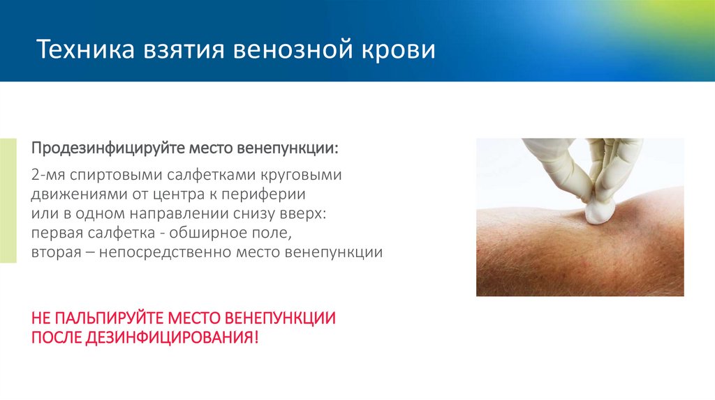 Техника взятия венозной крови