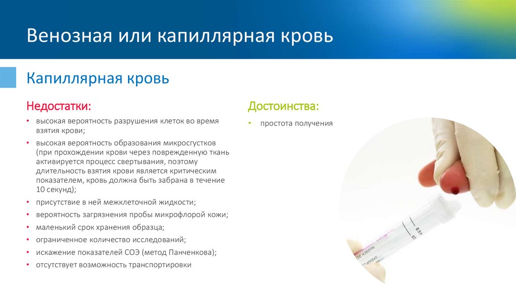 Венозная или капиллярная кровь