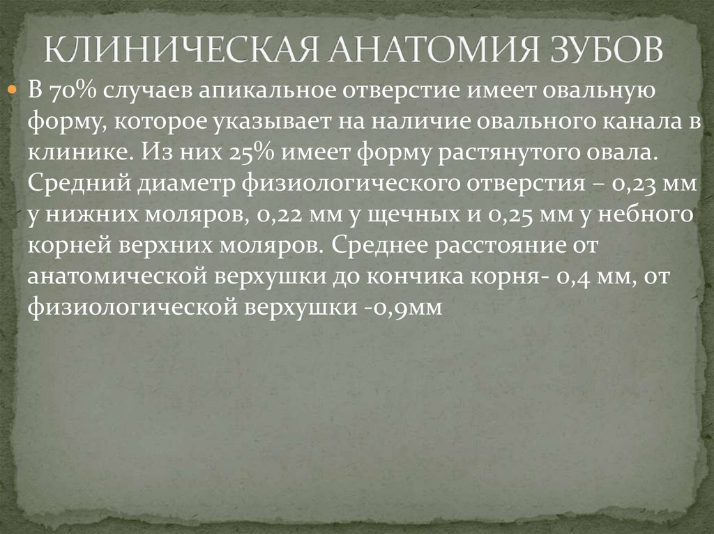 КЛИНИЧЕСКАЯ АНАТОМИЯ ЗУБОВ
