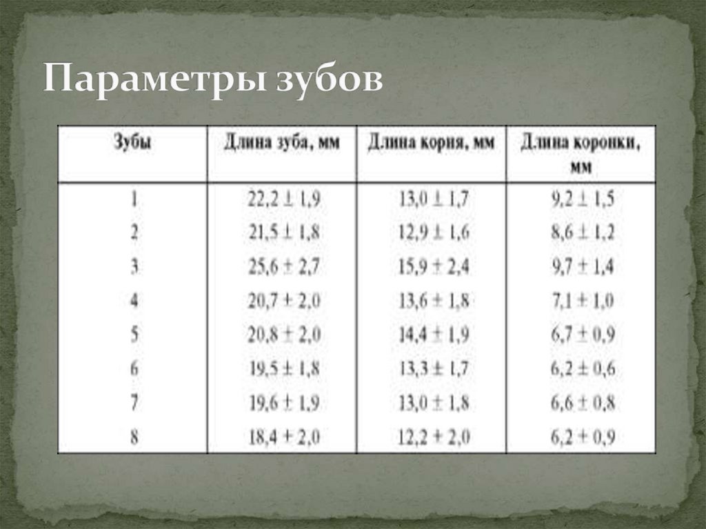 Параметры зубов