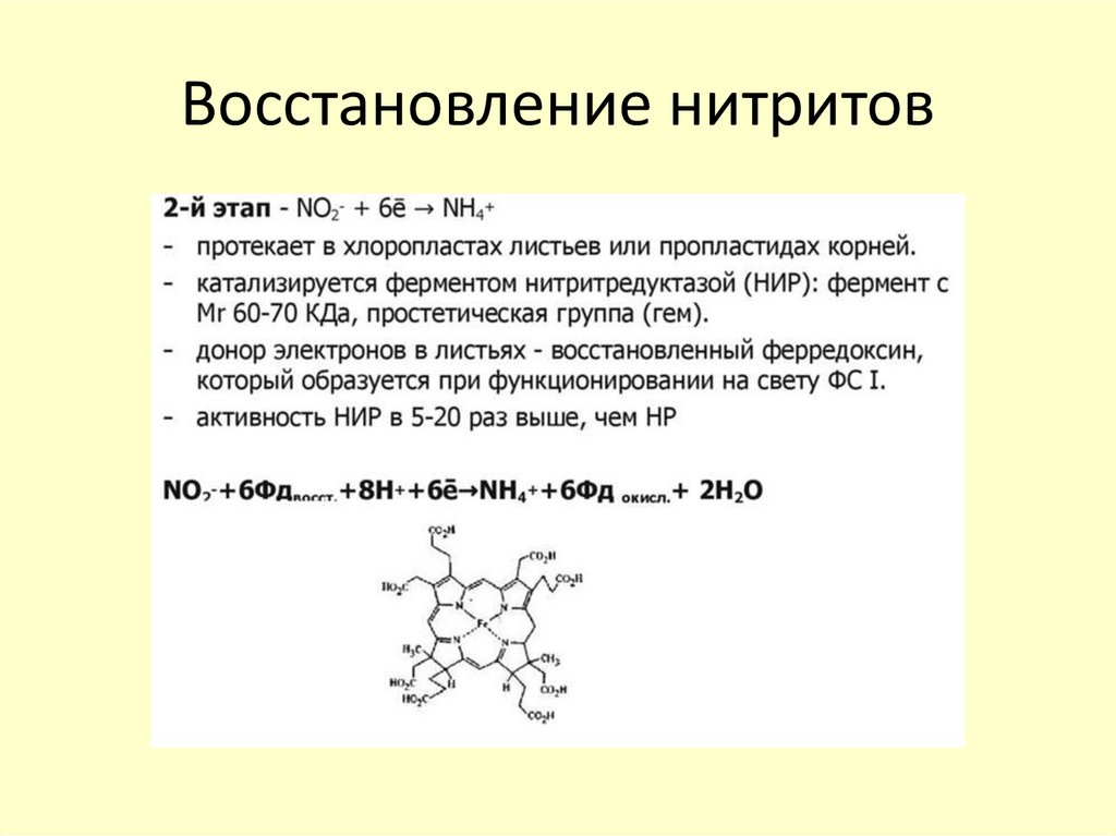 Восстановление нитритов