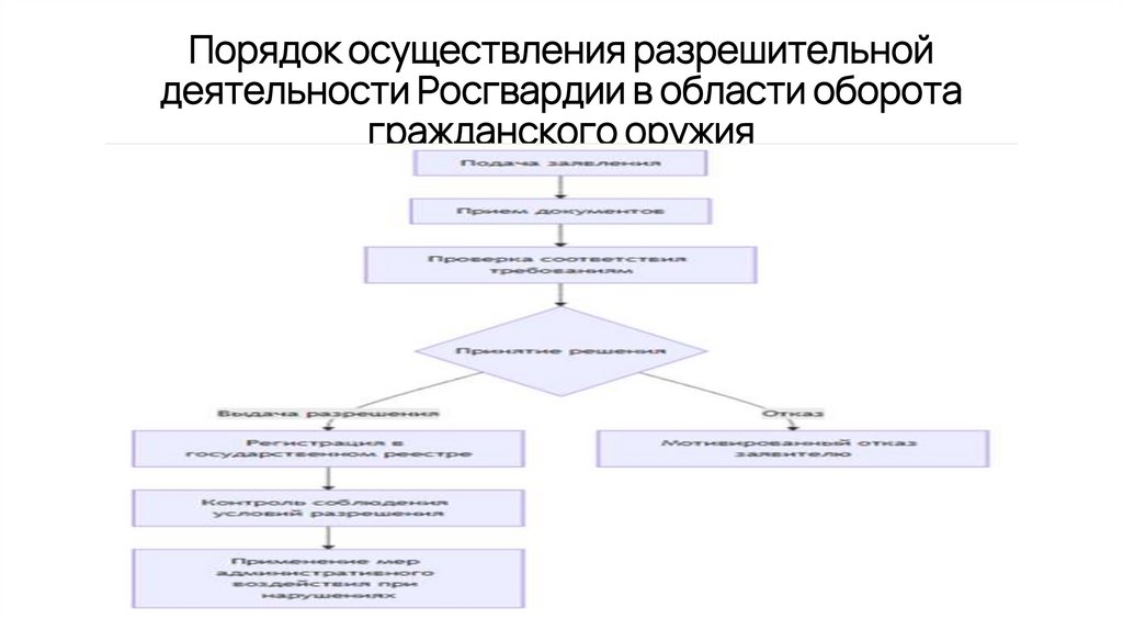 Порядок осуществления разрешительной деятельности Росгвардии в области оборота гражданского оружия