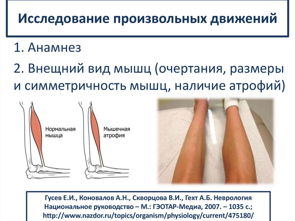 Исследование произвольных движений