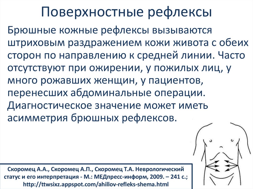 Поверхностные рефлексы