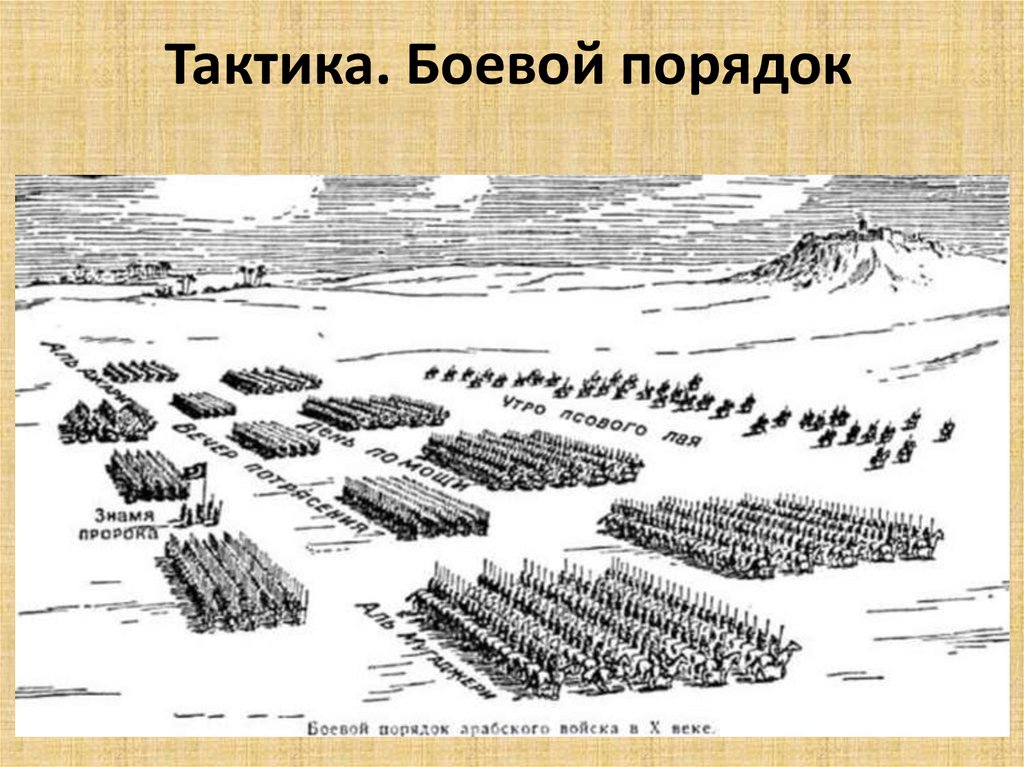 Тактика. Боевой порядок