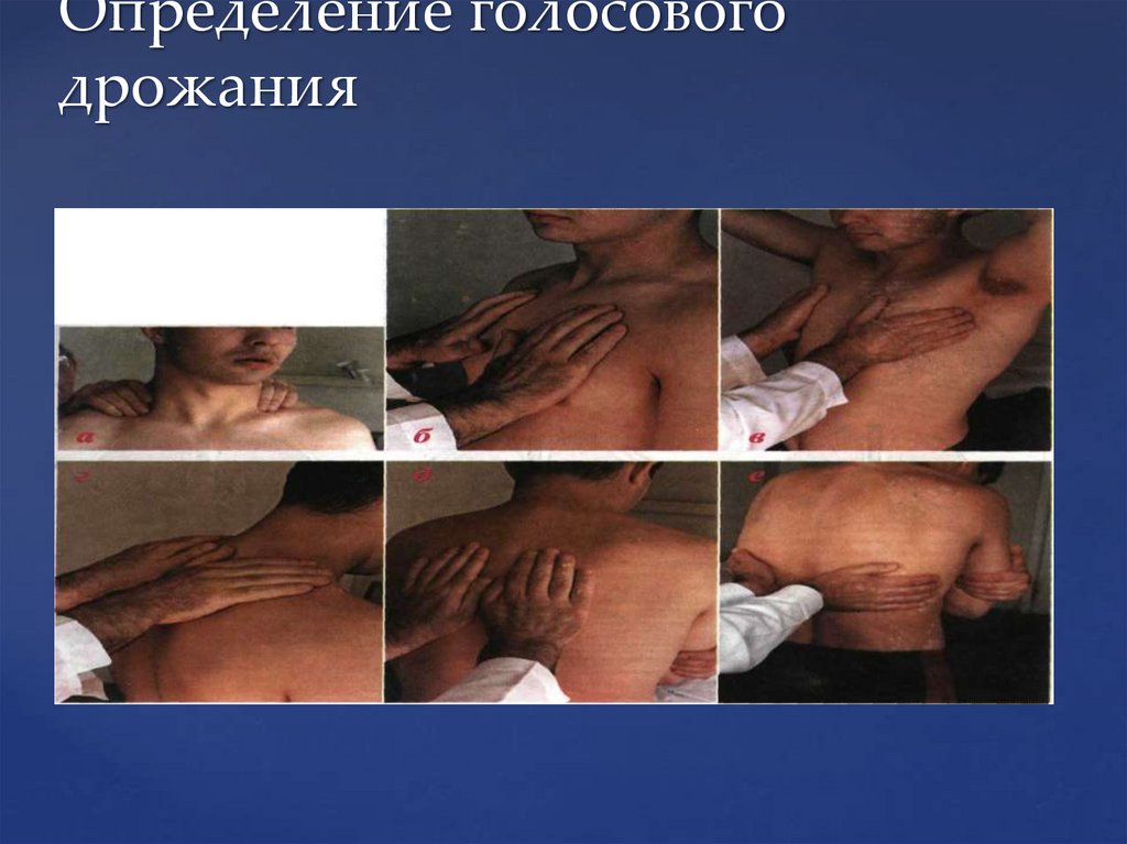 Определение голосового дрожания