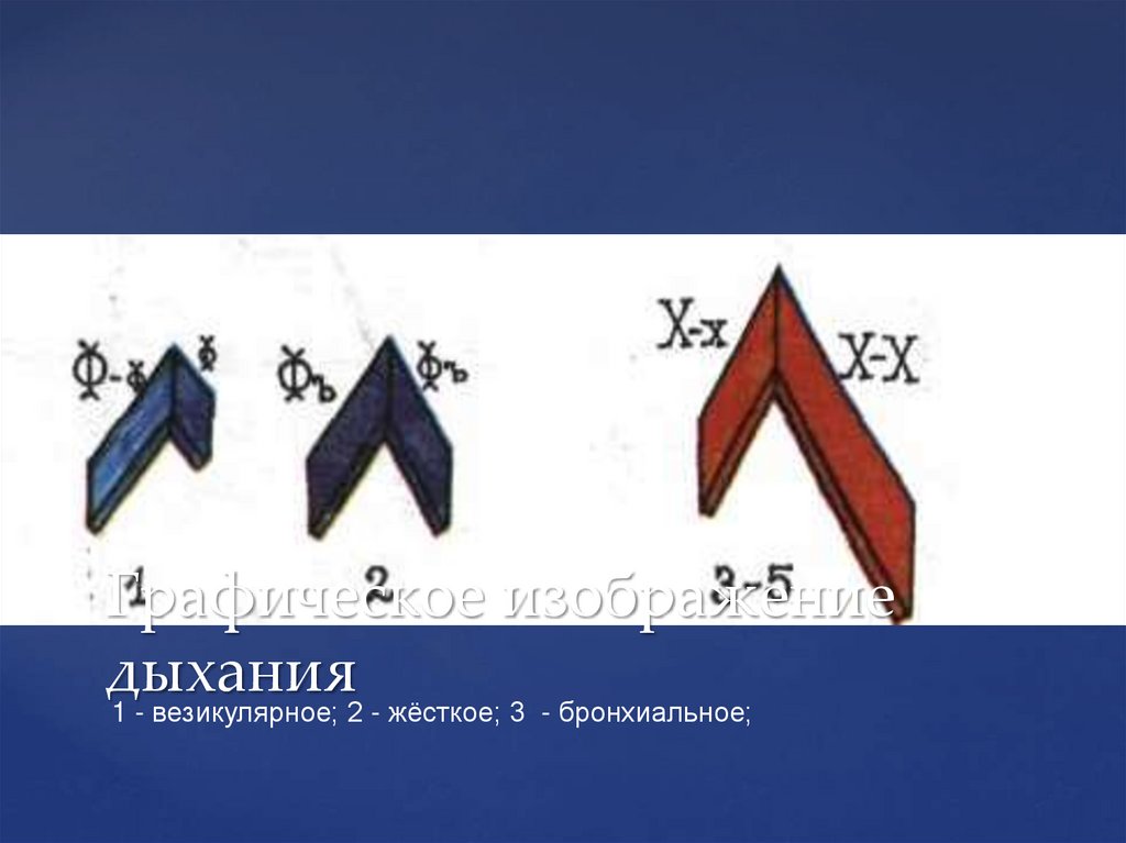 Графическое изображение дыхания