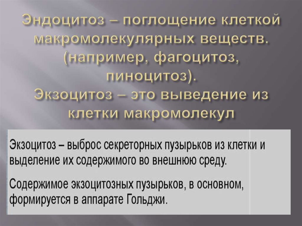 Эндоцитоз – поглощение клеткой макромолекулярных веществ. (например, фагоцитоз, пиноцитоз). Экзоцитоз – это выведение из клетки