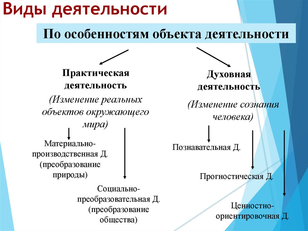 Виды деятельности