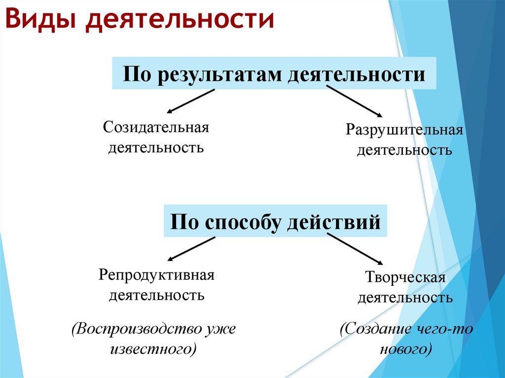 Виды деятельности