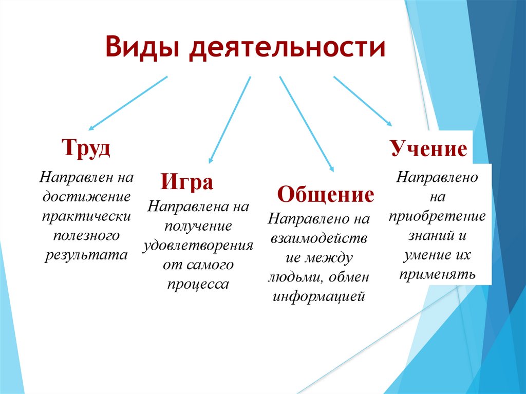 Виды деятельности