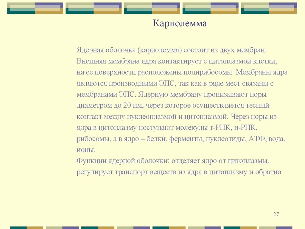 Кариолемма