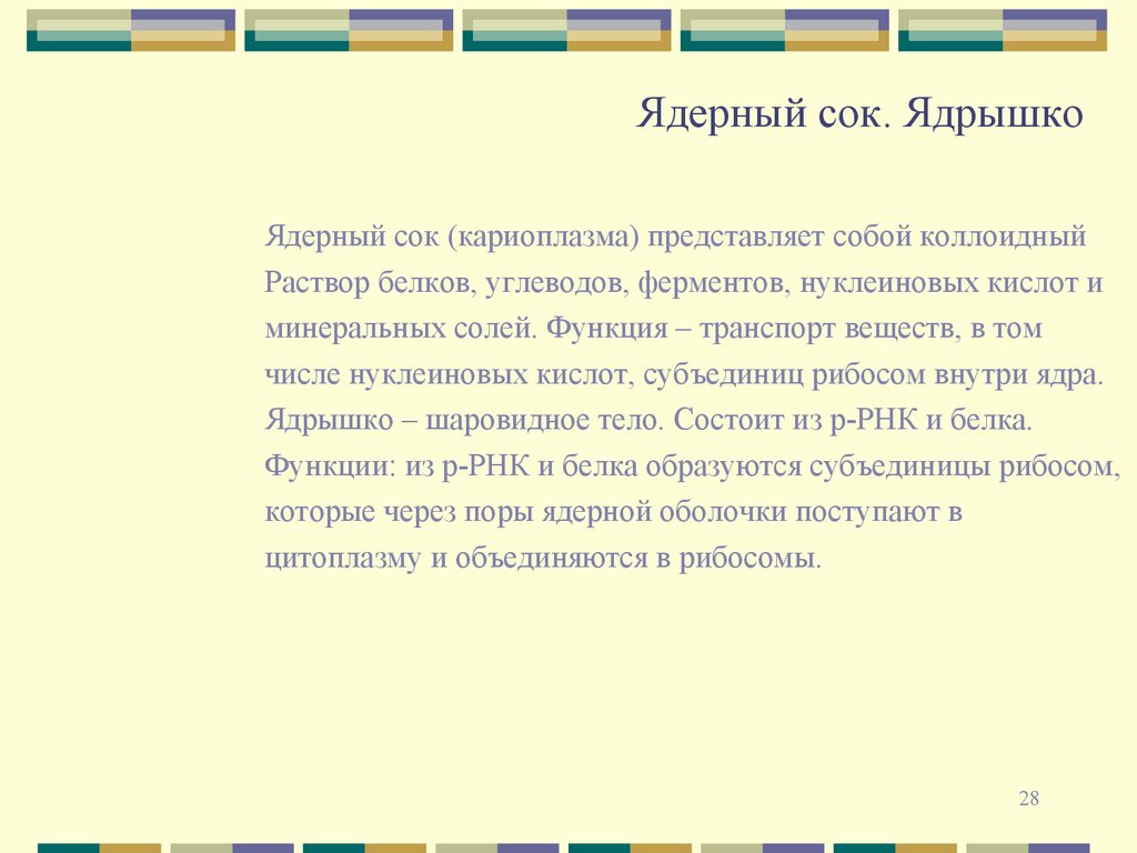 Ядерный сок. Ядрышко