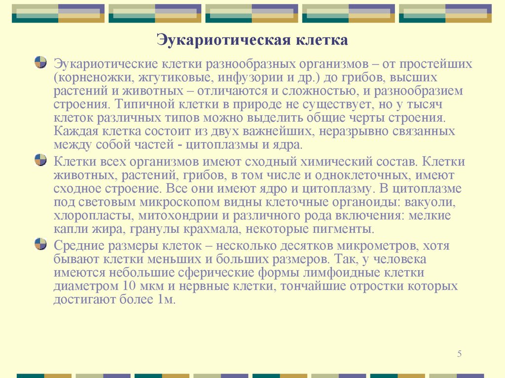 Эукариотическая клетка