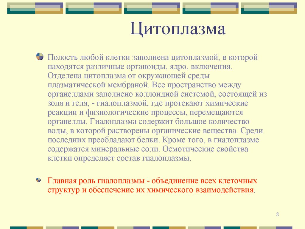 Цитоплазма