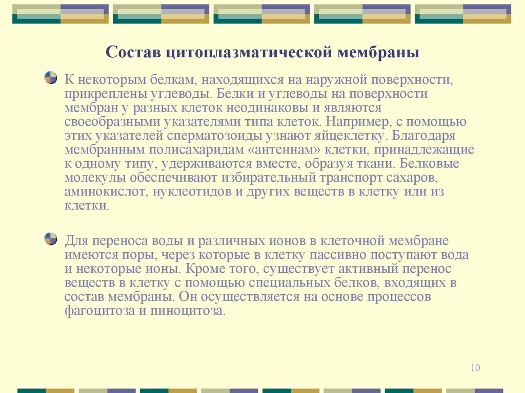 Состав цитоплазматической мембраны