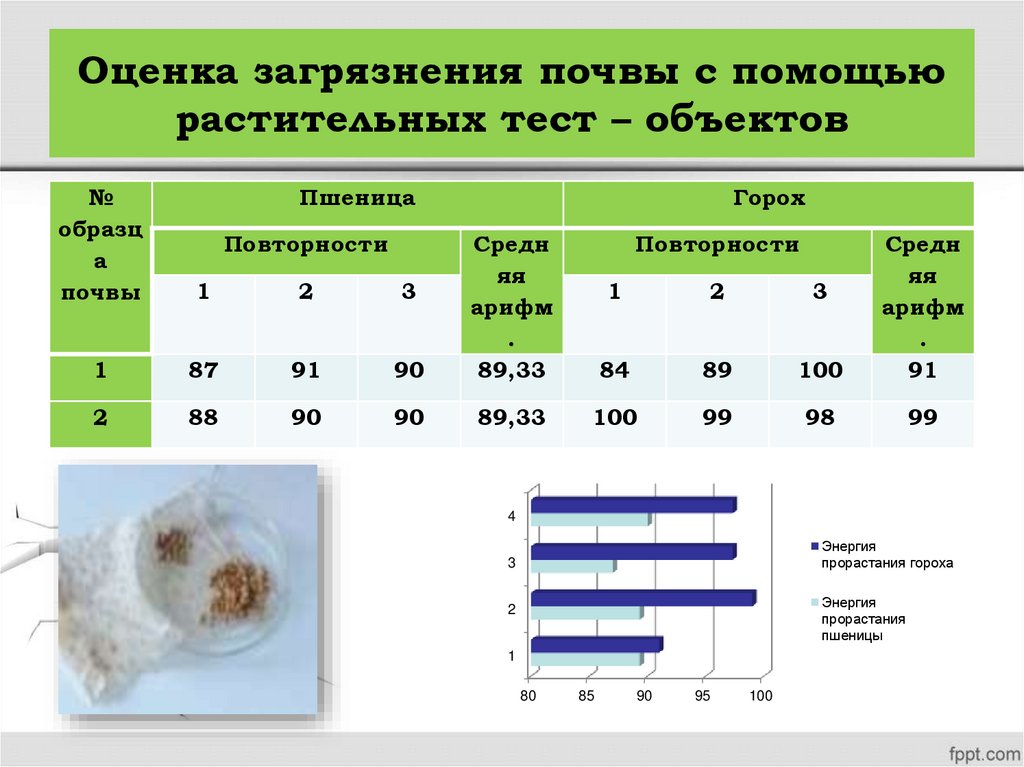 Оценка загрязнения почвы с помощью растительных тест – объектов