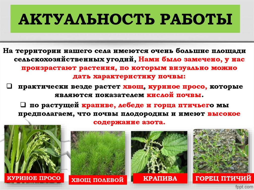 АКТУАЛЬНОСТЬ РАБОТЫ