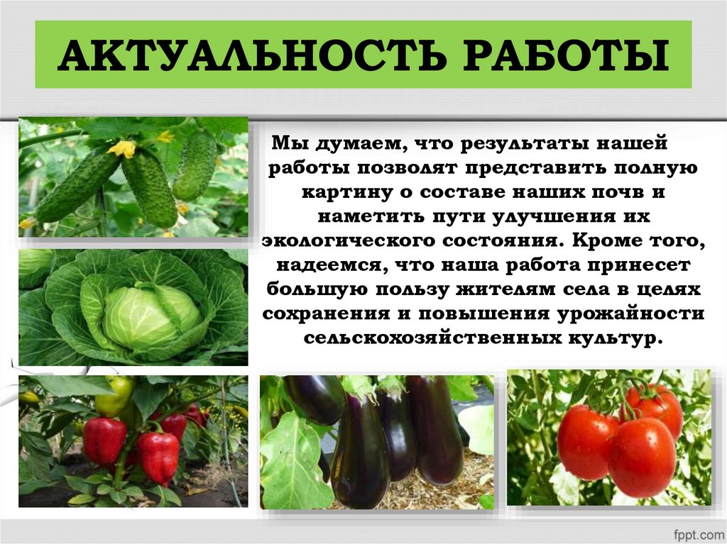 АКТУАЛЬНОСТЬ РАБОТЫ