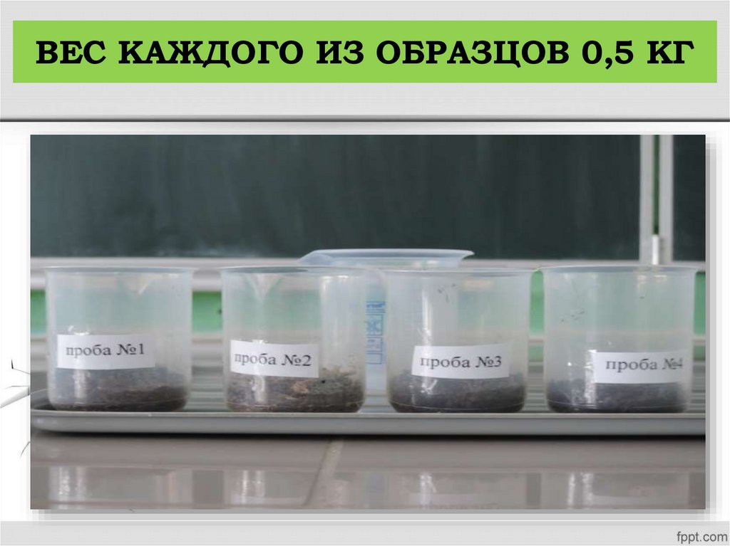 ВЕС КАЖДОГО ИЗ ОБРАЗЦОВ 0,5 КГ