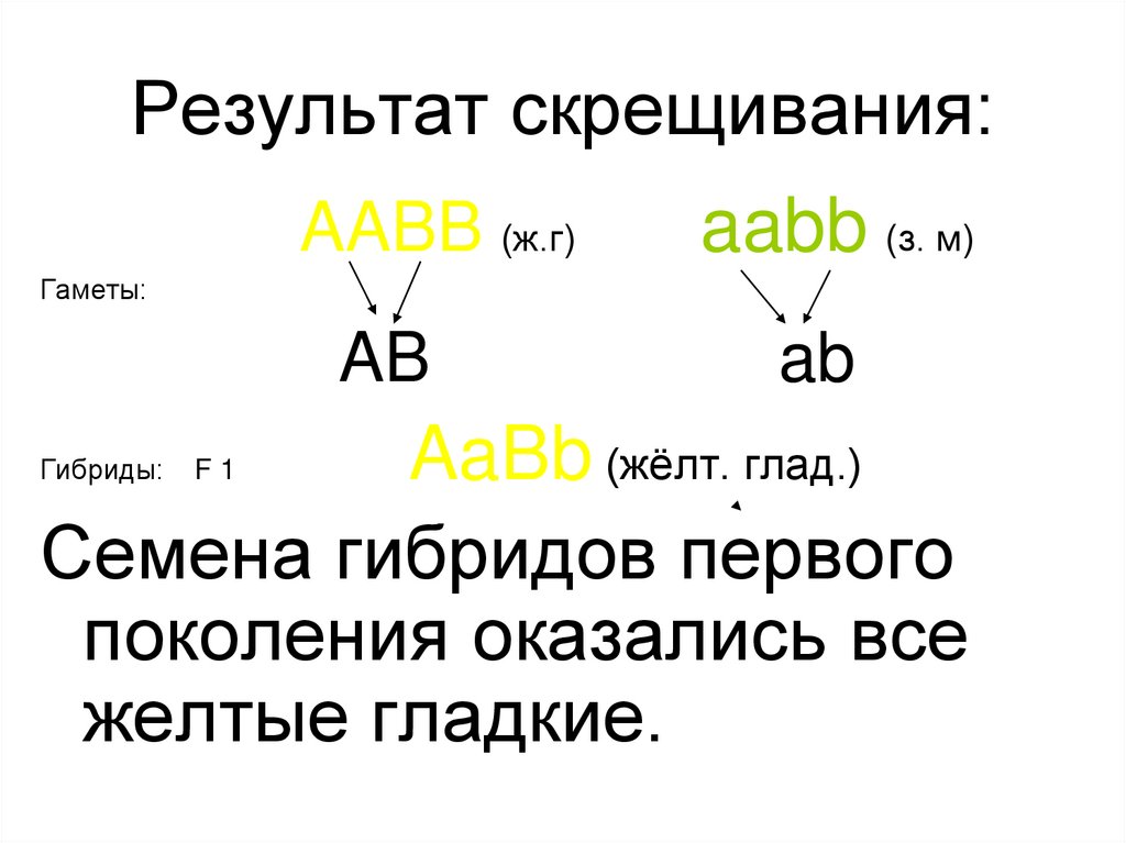 Результат скрещивания: