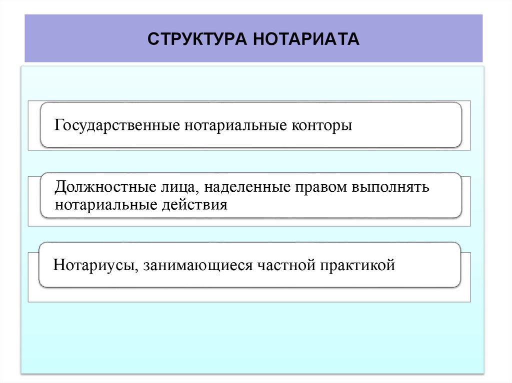 СТРУКТУРА НОТАРИАТА