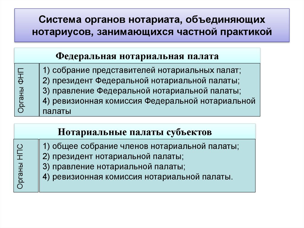 Система органов нотариата, объединяющих нотариусов, занимающихся частной практикой