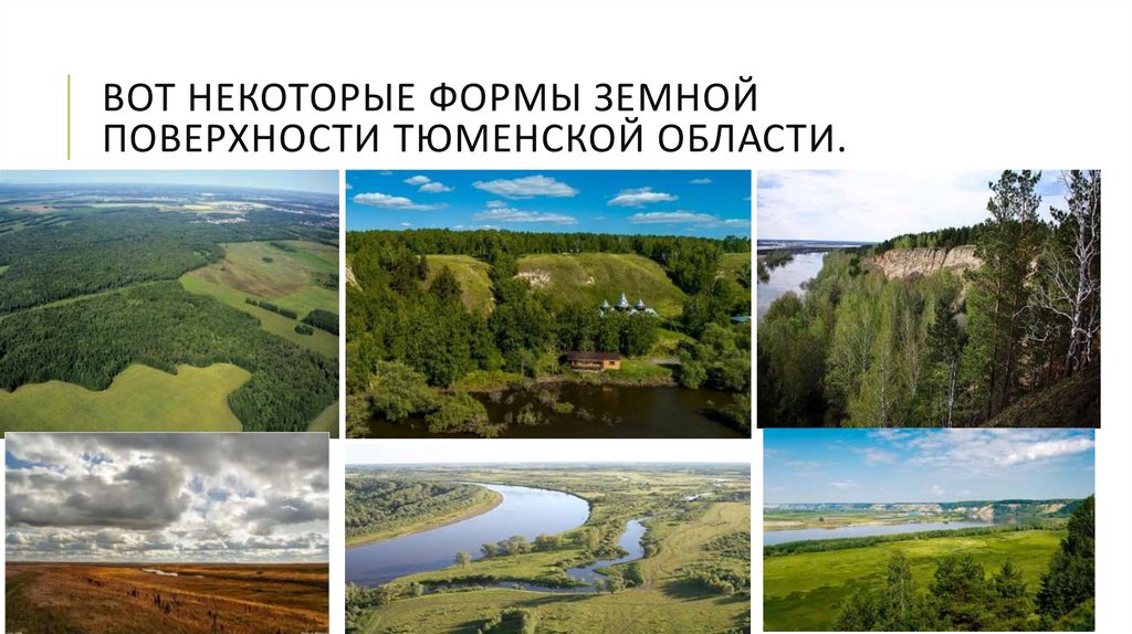 ВОТ Некоторые ФОРМЫ ЗЕМНОЙ ПОВЕРХНОСТИ ТЮМЕНСКОЙ ОБЛАСТИ.