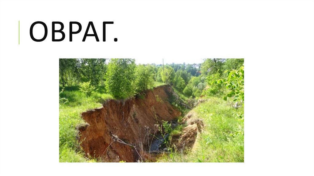 ОВРАГ.