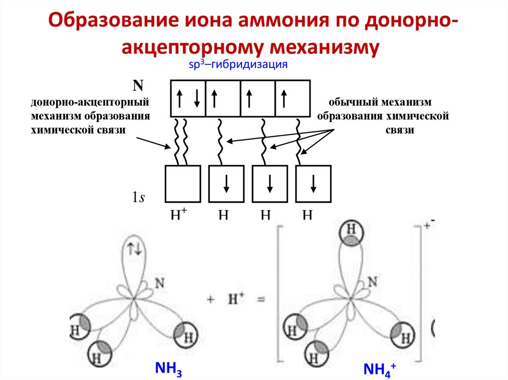 Образование иона аммония по донорно-акцепторному механизму