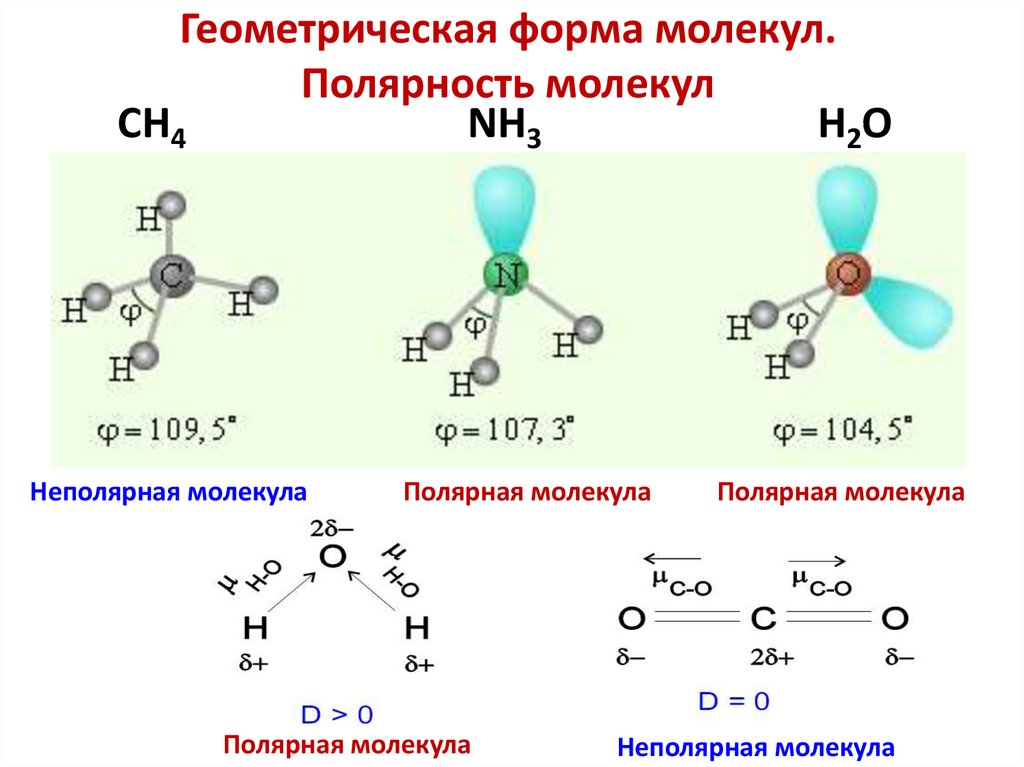 Геометрическая форма молекул. Полярность молекул