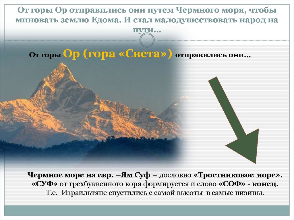 От горы Ор отправились они путем Чермного моря, чтобы миновать землю Едома. И стал малодушествовать народ на пути…
