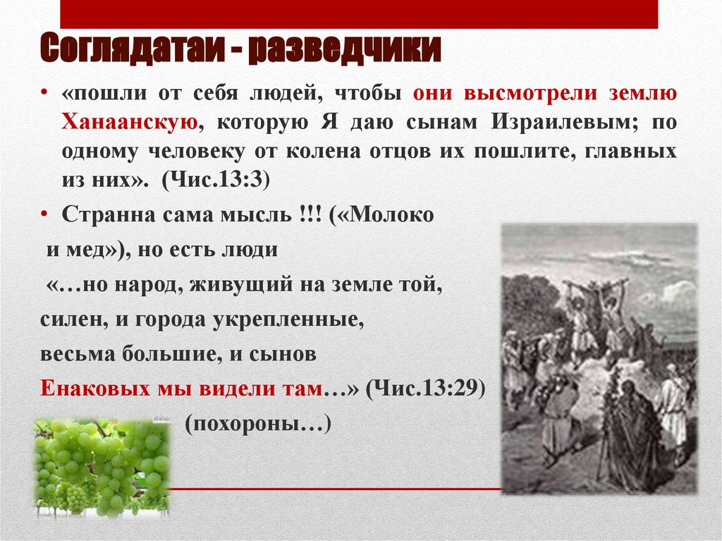 Соглядатаи - разведчики