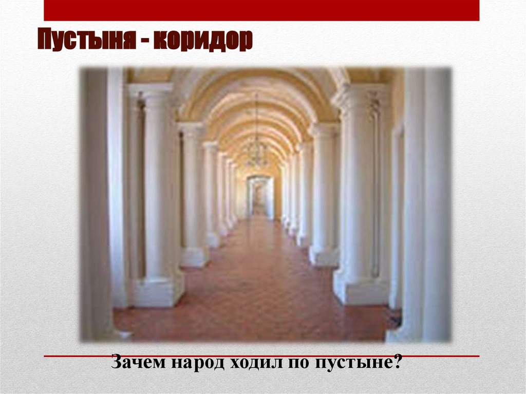 Пустыня - коридор