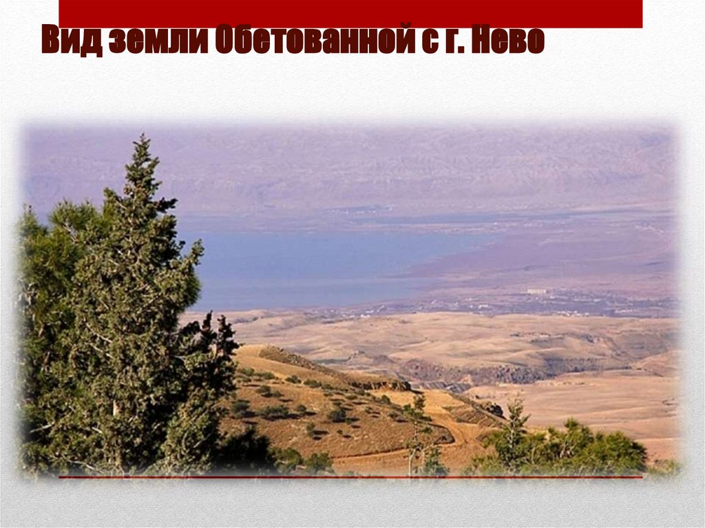Вид земли Обетованной с г. Нево